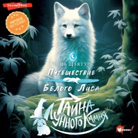 Тайна Лунного камня - Чэнь Цзятун - Hörbuch