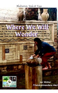 Where We Will Wonder - Jan Wolter - E-Book