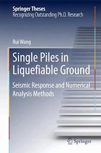 Single Piles in Liquefiable Ground - Wang Rui - E-Book