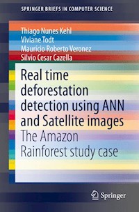 Real time deforestation detection using ANN and Satellite images - Thiago Nunes Kehl - E-Book