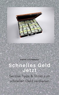 Schnelles Geld Jetzt - Andre Sternberg - E-Book