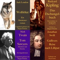 Die Abenteuer Box: 4 Hörbuch-Klassiker - Jonathan Swift - Hörbuch
