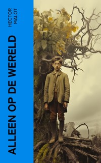 Alleen op de Wereld - Hector Malot - E-Book