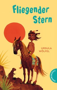 Fliegender Stern - Ursula Wölfel - E-Book