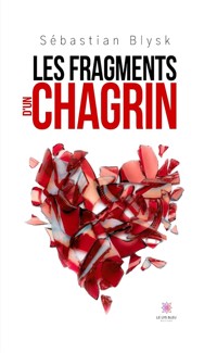 Les fragments d’un chagrin - Sébastian Blysk - E-Book