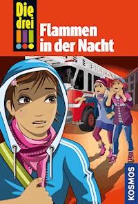 Die drei !!!, 63, Flammen in der Nacht (drei Ausrufezeichen) - Maja von Vogel - E-Book