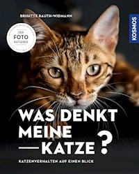 Was denkt meine Katze? - Brigitte Rauth-Widmann - E-Book