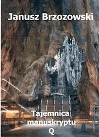 Tajemnica manuskryptu Q - Janusz Brzozowski - E-Book