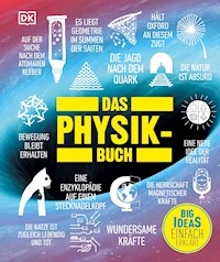 Big Ideas. Das Physik-Buch - Hilary Lamb - E-Book