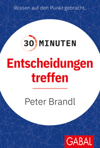 30 Minuten Entscheidungen treffen - Peter Brandl - E-Book