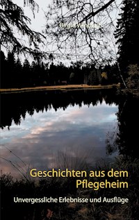 Geschichten aus dem Pflegeheim - Birgid Windisch - E-Book