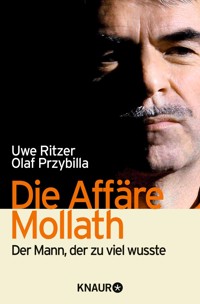 Die Affäre Mollath - Uwe Ritzer - E-Book