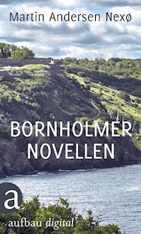 Bornholmer Novellen - Martin Andersen Nexö - E-Book