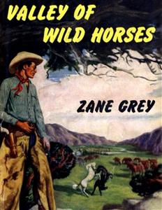 Valley of Wild Horses - Zane Grey - E-Book