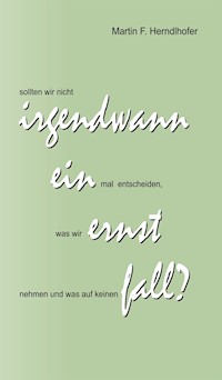 Irgendwann ein Ernstfall? - Martin F. Herndlhofer - E-Book
