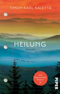 Heilung - Timon Karl Kaleyta - E-Book