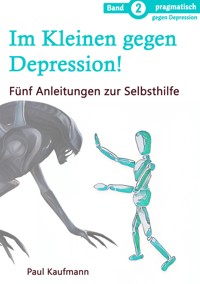 Im Kleinen gegen Depression! - Paul Kaufmann - E-Book