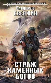 Страж Каменных Богов - Владимир Свержин - E-Book