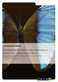 Großstadtlyrik und -wahrnehmung in Peter Fox'  "Schwarz zu Blau" - Friedrich Kollhoff - E-Book