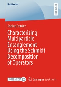 Characterizing Multiparticle Entanglement Using the Schmidt Decomposition of Operators - Sophia Denker - E-Book