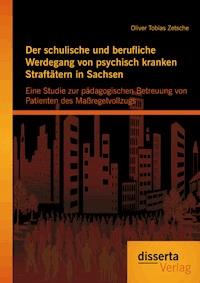 Der schulische und berufliche Werdegang von psychisch kranken Straftätern in Sachsen: Eine Studie zur pädagogischen Betreuung von Patienten des Maßregelvollzugs - Oliver Tobias Zetsche - E-Book