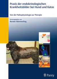 Praxis der endokrinologischen Krankheitsbilder bei Hund und Katze -  - E-Book