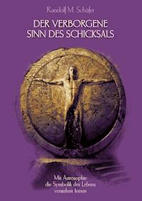 Der verborgene Sinn des Schicksals - Randolf M. Schäfer - E-Book