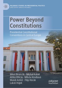 Power Beyond Constitutions - Miloš Brunclík - E-Book