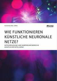 Wie funktionieren künstliche neuronale Netze? Kategorisierung und Anwendungsbereiche künstlicher Intelligenz - Alessio Dal Cero - E-Book