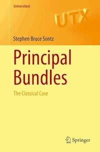 Principal Bundles - Stephen Bruce Sontz - E-Book