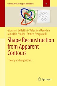 Shape Reconstruction from Apparent Contours - Giovanni Bellettini - E-Book