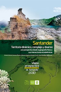Santander territorio dinámico, complejo y diverso: una perspectiva desde la geografía física y sus interacciones ecosistémicas - Amado Guerrero - E-Book