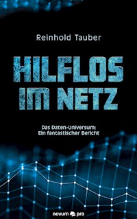 Hilflos im Netz - Reinhold Tauber - E-Book