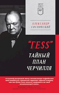 "ГESS" Тайный план Черчилля - Александр Сосновский - E-Book