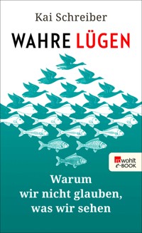 Wahre Lügen - Kai Schreiber - E-Book