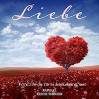 Liebe - Wie du ihr die Tür in dein Leben öffnest - Raphael Kleine-Termeer - Hörbuch