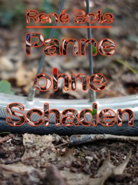 Panne ohne Schaden - René Bote - E-Book