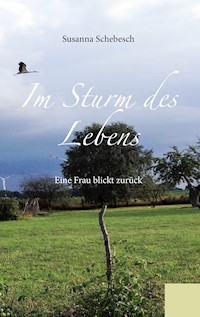 Im Sturm des Lebens - Susanna Schebesch - E-Book