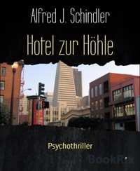 Hotel zur Höhle - Alfred J. Schindler - E-Book
