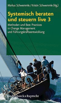 Systemisch beraten und steuern live 3 -  - E-Book
