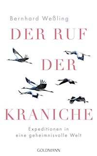 Der Ruf der Kraniche - Bernhard Weßling - E-Book