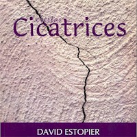 Ciertas cicatrices - David Estopier - E-Book