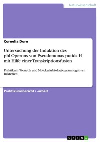 Untersuchung der Induktion des phl-Operons von Pseudomonas putida H mit Hilfe einer Transkriptionsfusion - Cornelia Dorn - E-Book