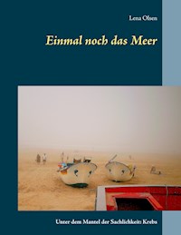 Einmal noch das Meer - Lena Olsen - E-Book