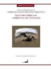 Línea jurisprudencial sobre demandas por daño ambiental - Teodoro Wigodski - E-Book