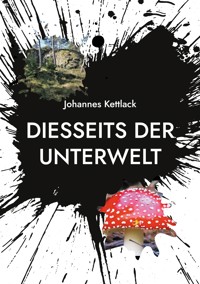 Diesseits der Unterwelt - Johannes Kettlack - E-Book