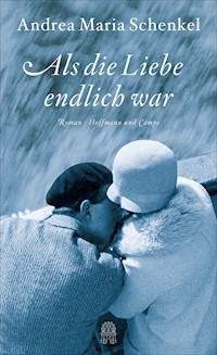 Als die Liebe endlich war - Andrea Maria Schenkel - E-Book