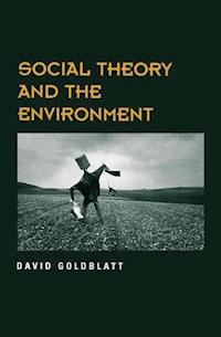 Social Theory and the Environment - David Goldblatt - E-Book