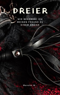 Dreier - Wie bekomme ich meinen Freund zu einem Dreier - Mareike W. - E-Book