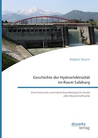 Geschichte der Hydroelektrizität im Raum Salzburg. Eine historische und industriearchäologische Studie alter Wasserkraftwerke - Robert Sturm - E-Book